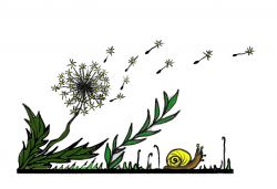 Löwenzahn und Schnecke